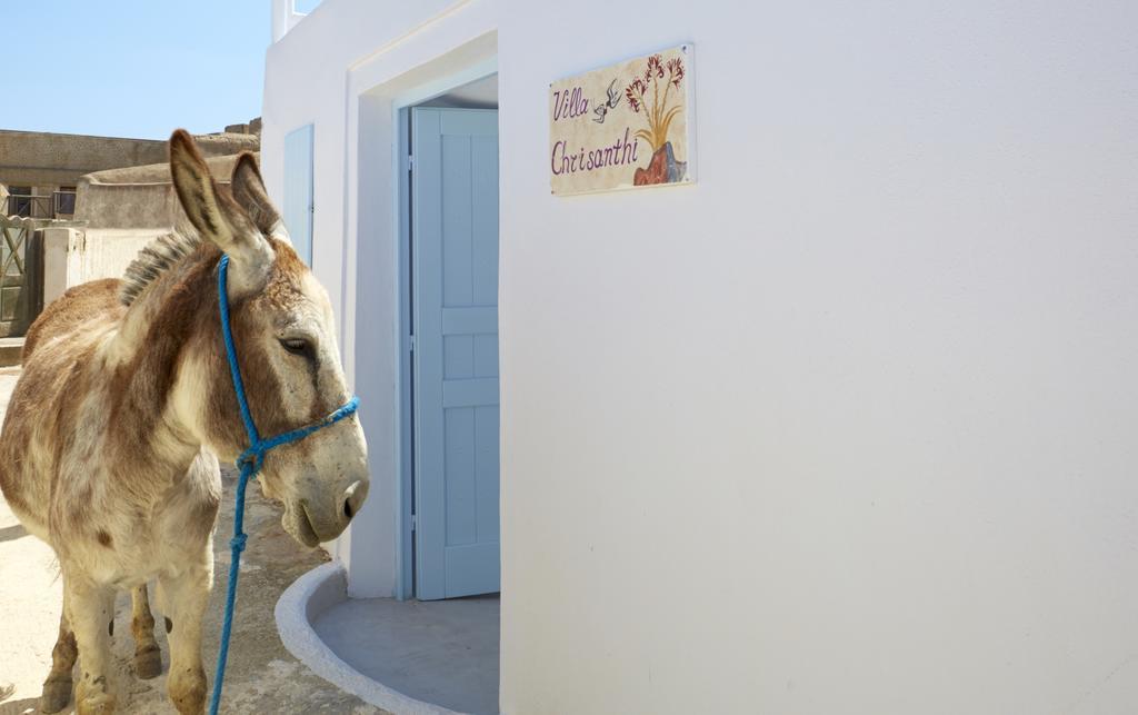 Chrisanthi Villa Pyrgos Kallistis Номер фото