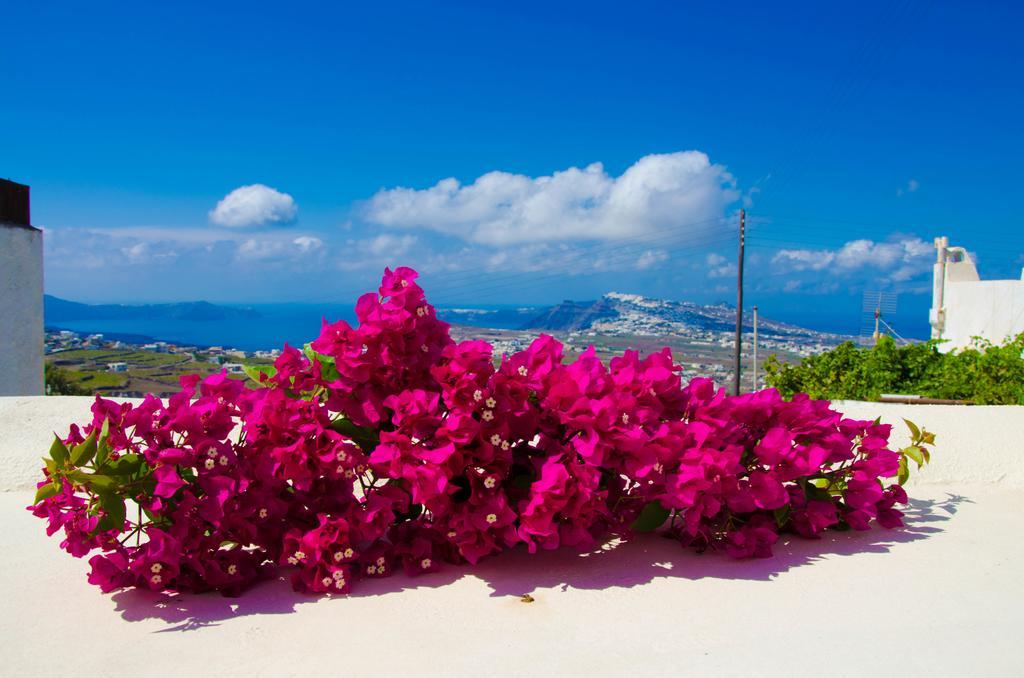 Chrisanthi Villa Pyrgos Kallistis Номер фото